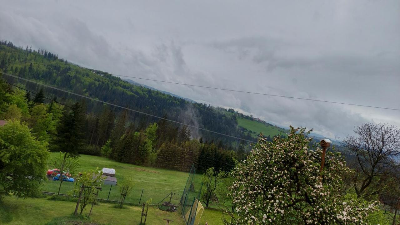 Domek Nad Lasem Конякув Экстерьер фото